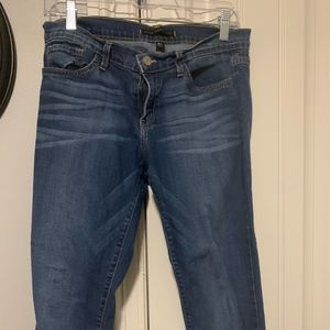 Low Rise Flying Monkey Skinny Jean Size 27